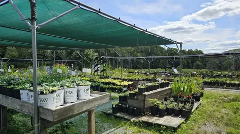 2263 Us Route 2 Marshfield VT 05658-7149