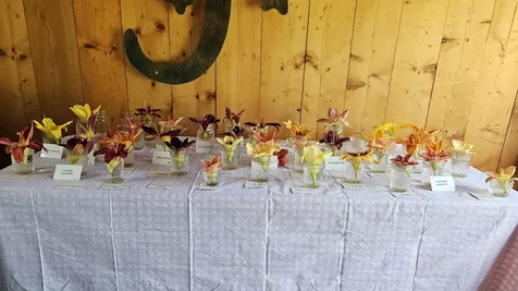 2263 Us Route 2 Marshfield VT 05658-7149