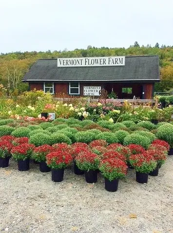 2263 Us Route 2 Marshfield VT 05658-7149