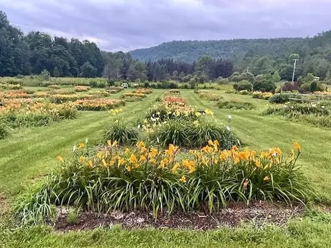 2263 Us Route 2 Marshfield VT 05658-7149