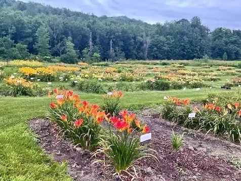 2263 Us Route 2 Marshfield VT 05658-7149