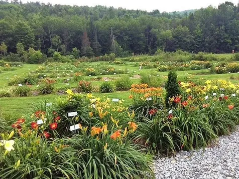 2263 Us Route 2 Marshfield VT 05658-7149