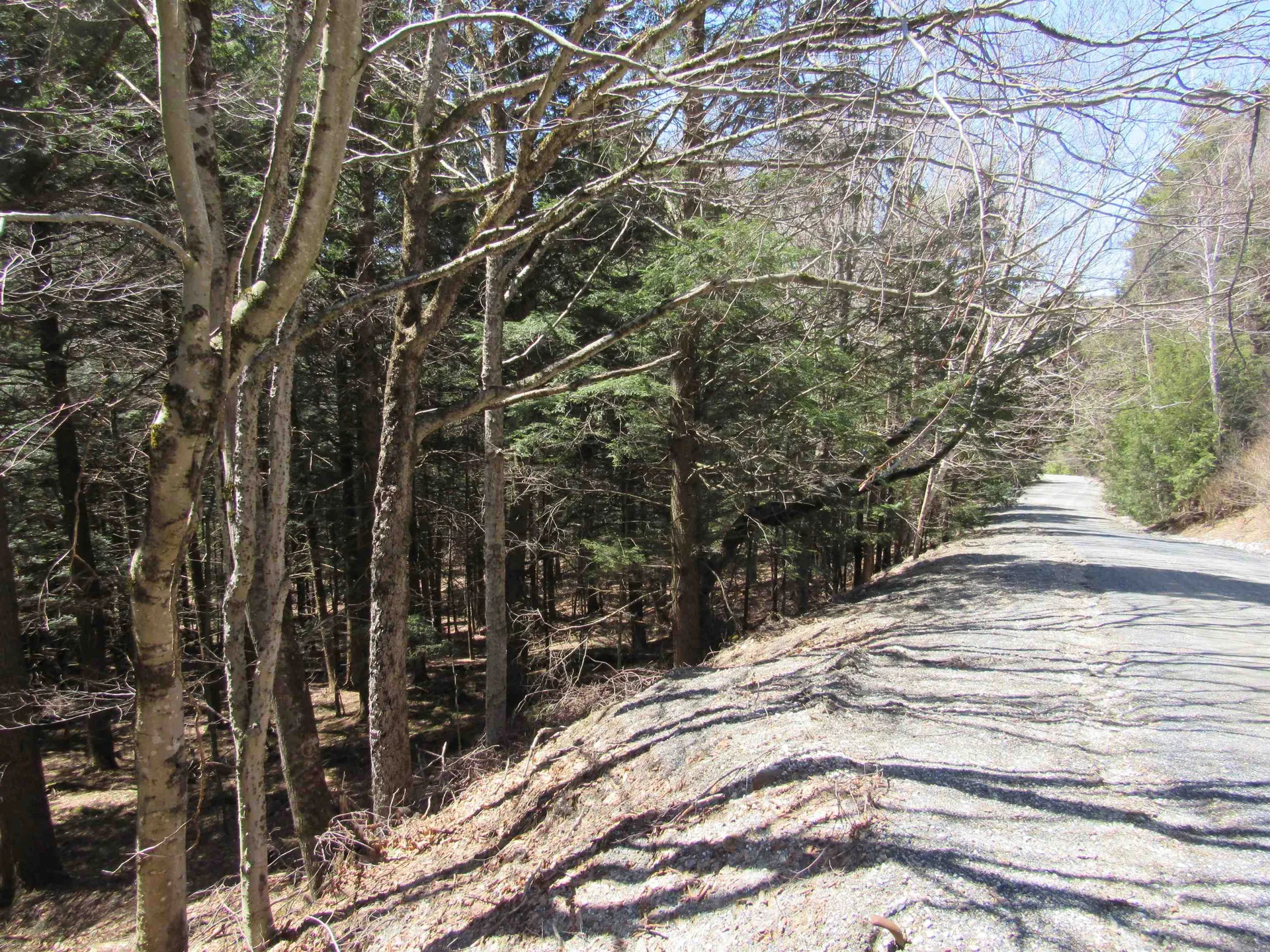 0 Stratton View Road Winhall VT 05340