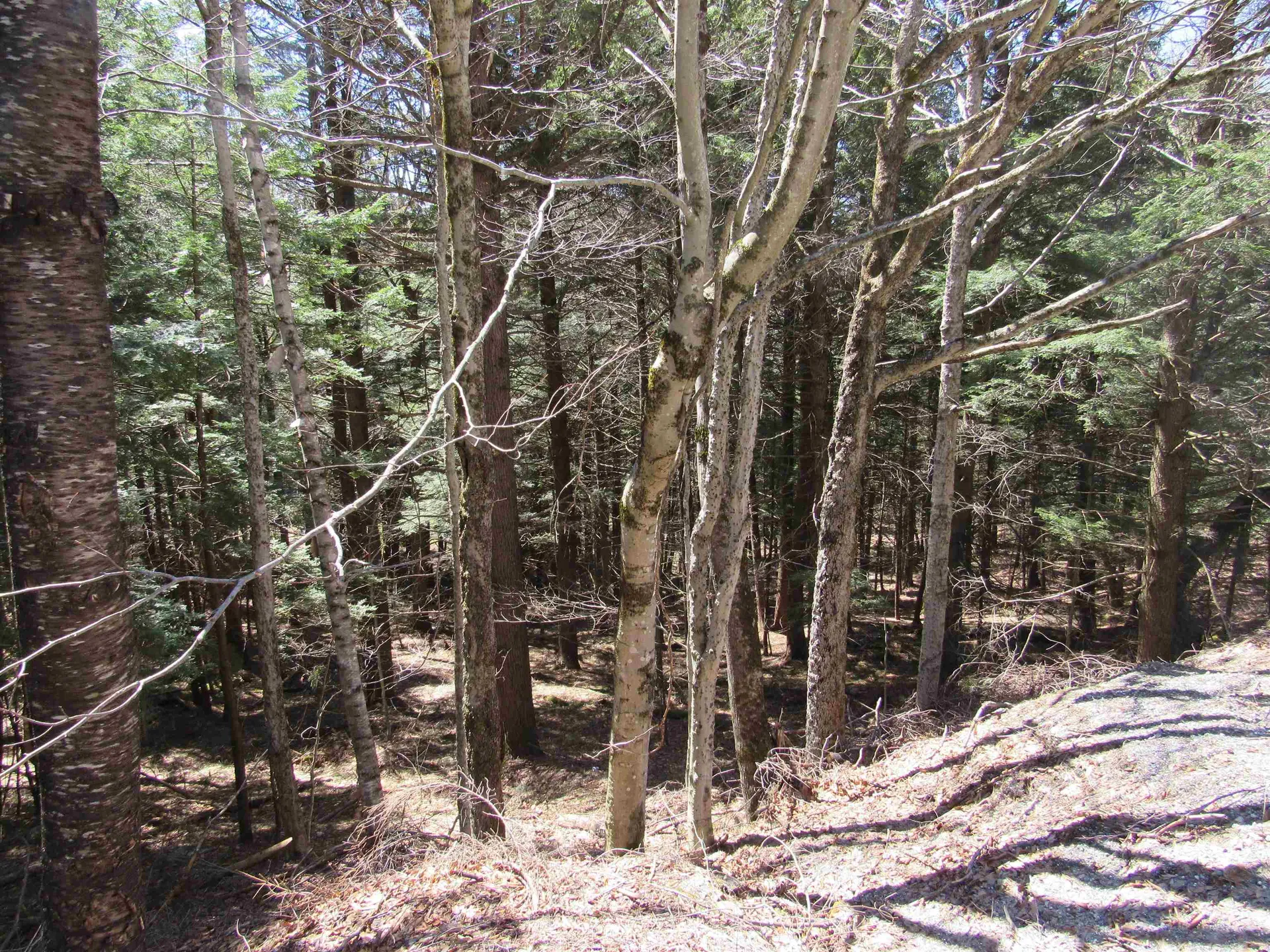 0 Stratton View Road Winhall VT 05340