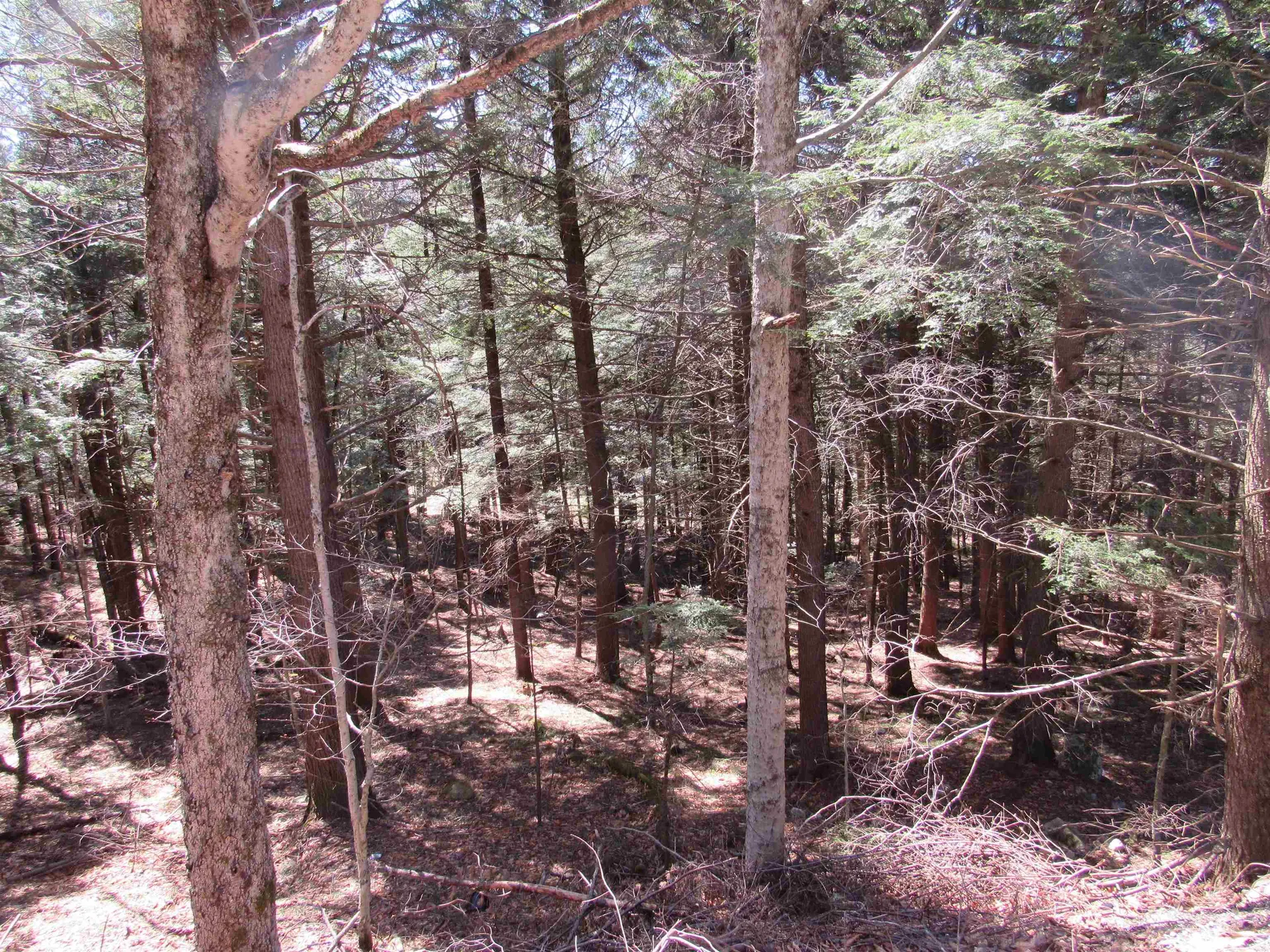 0 Stratton View Road Winhall VT 05340