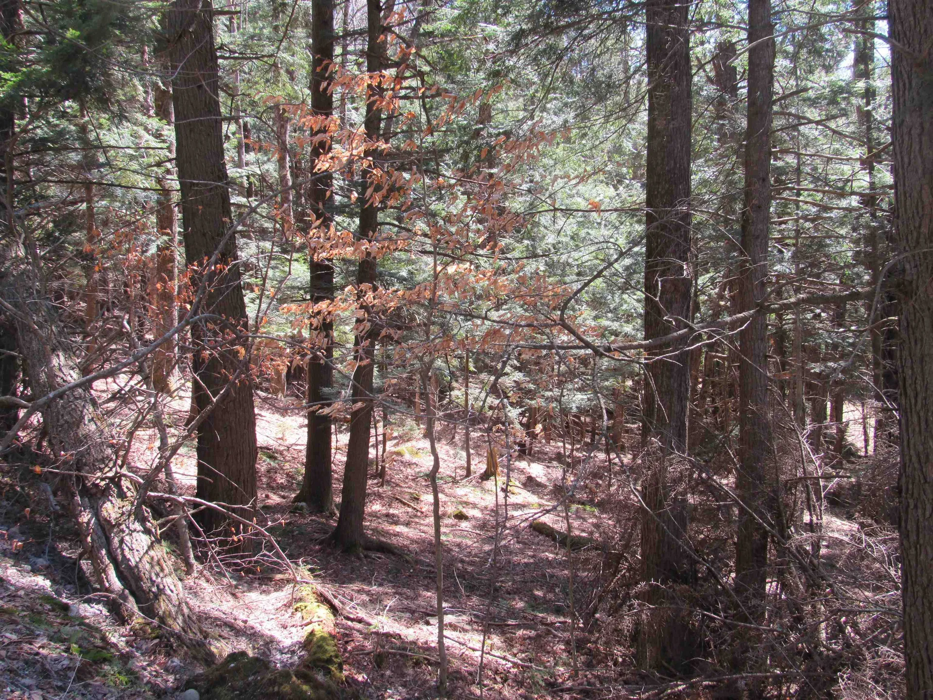 0 Stratton View Road Winhall VT 05340