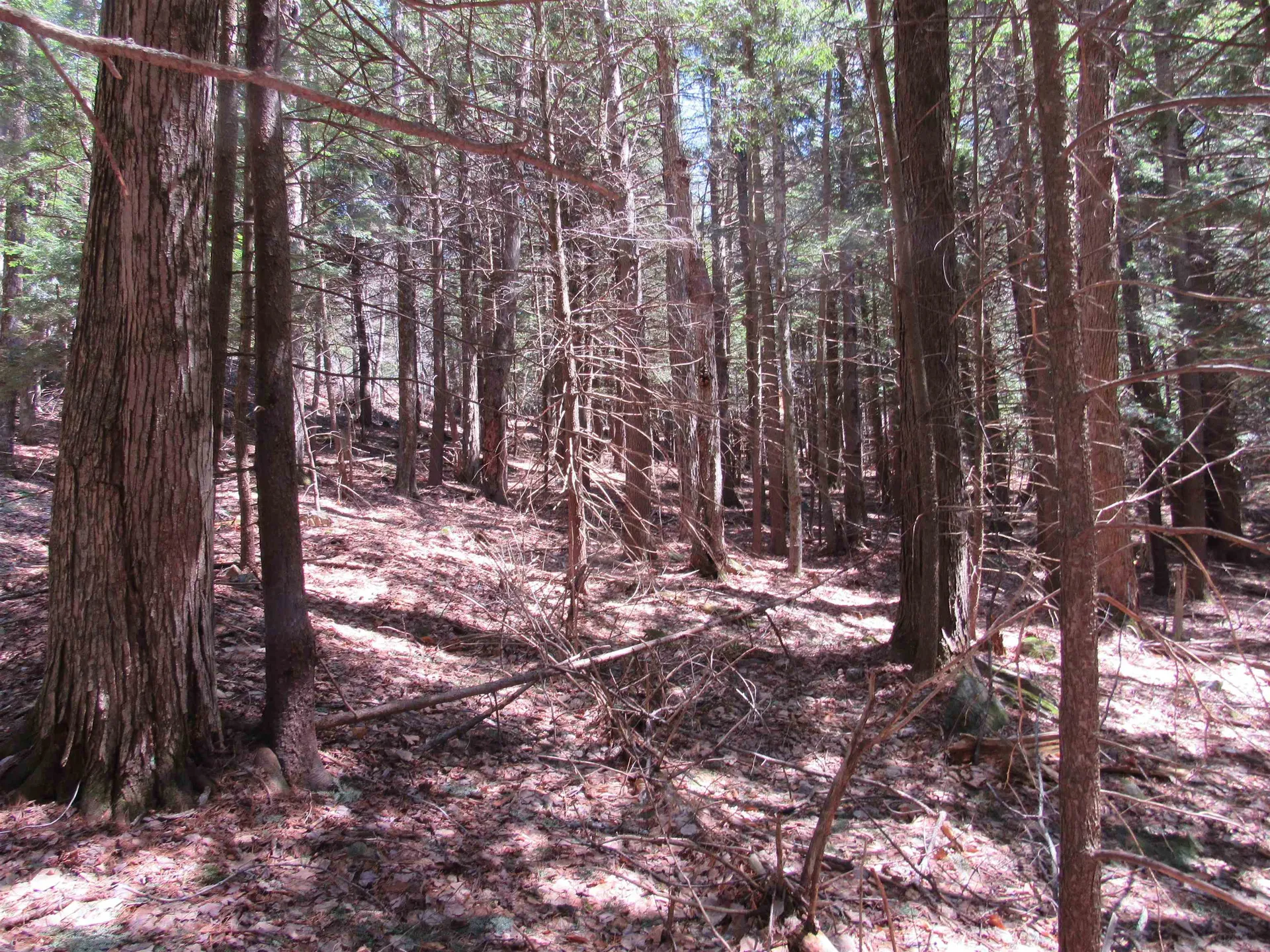 0 Stratton View Road Winhall VT 05340