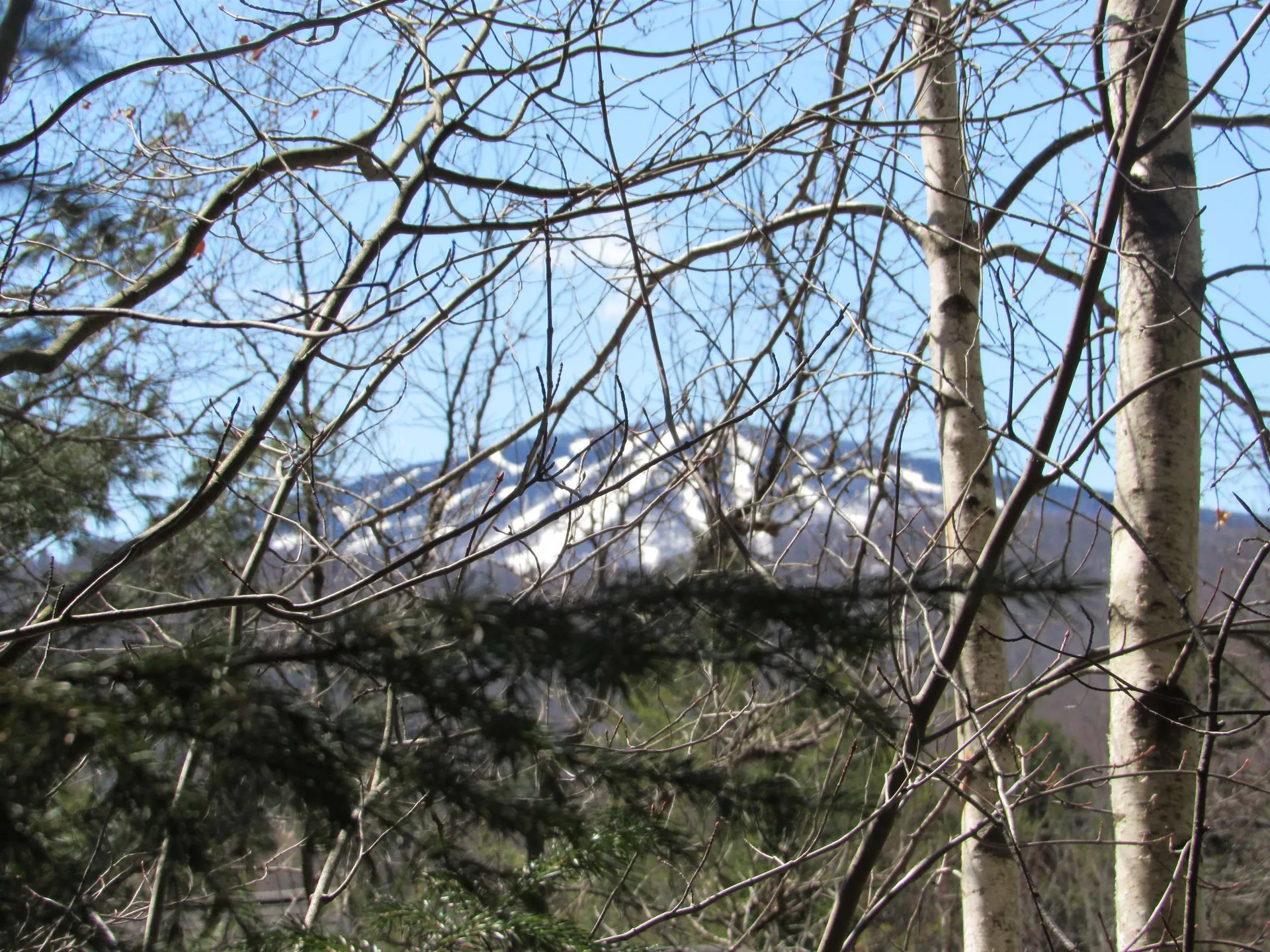 0 Stratton View Road Winhall VT 05340