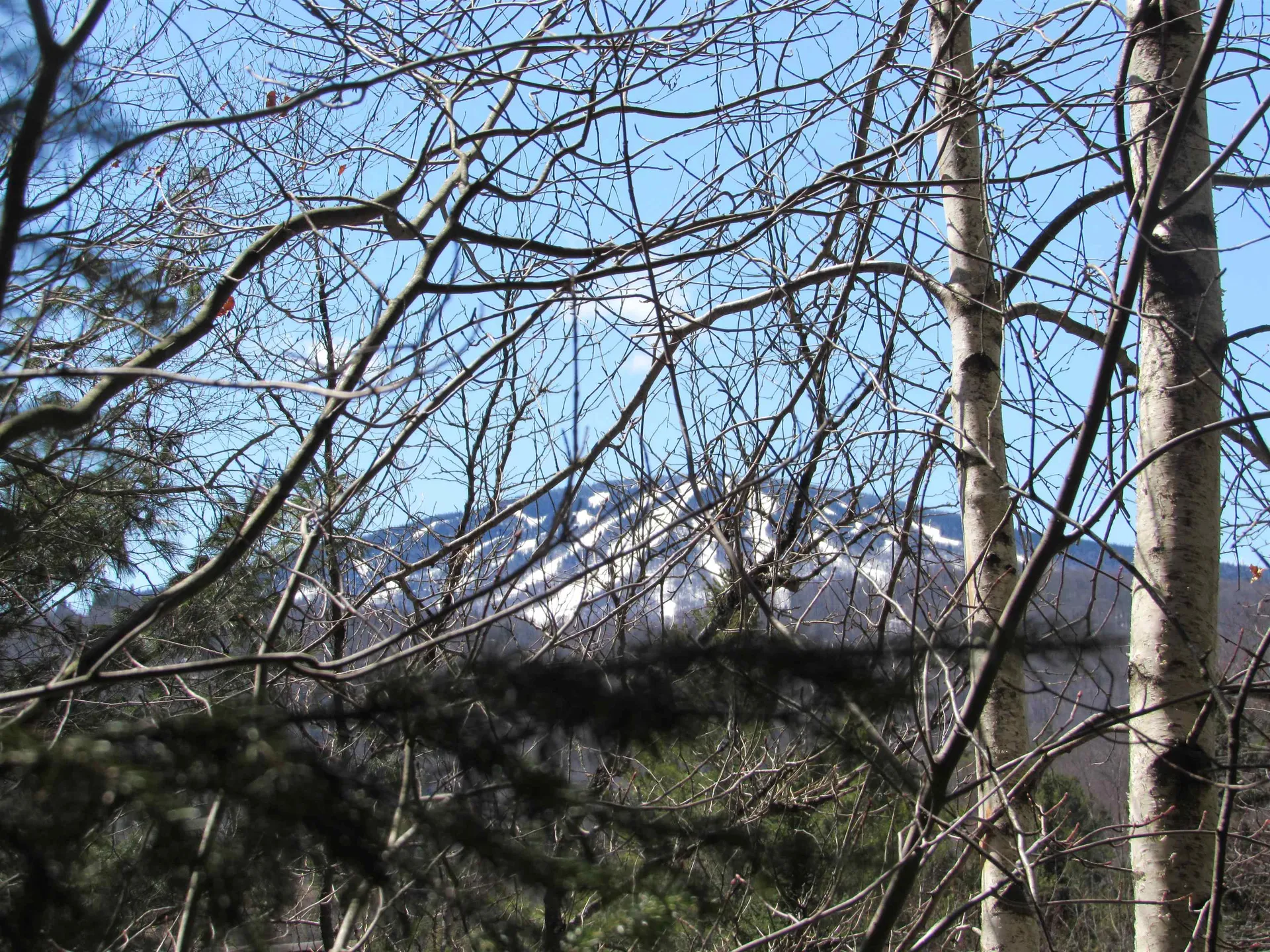 0 Stratton View Road Winhall VT 05340