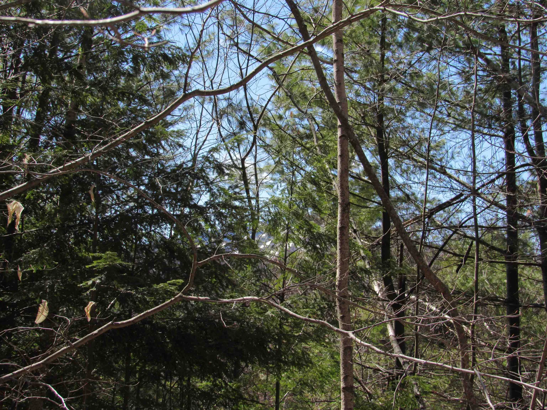 0 Stratton View Road Winhall VT 05340