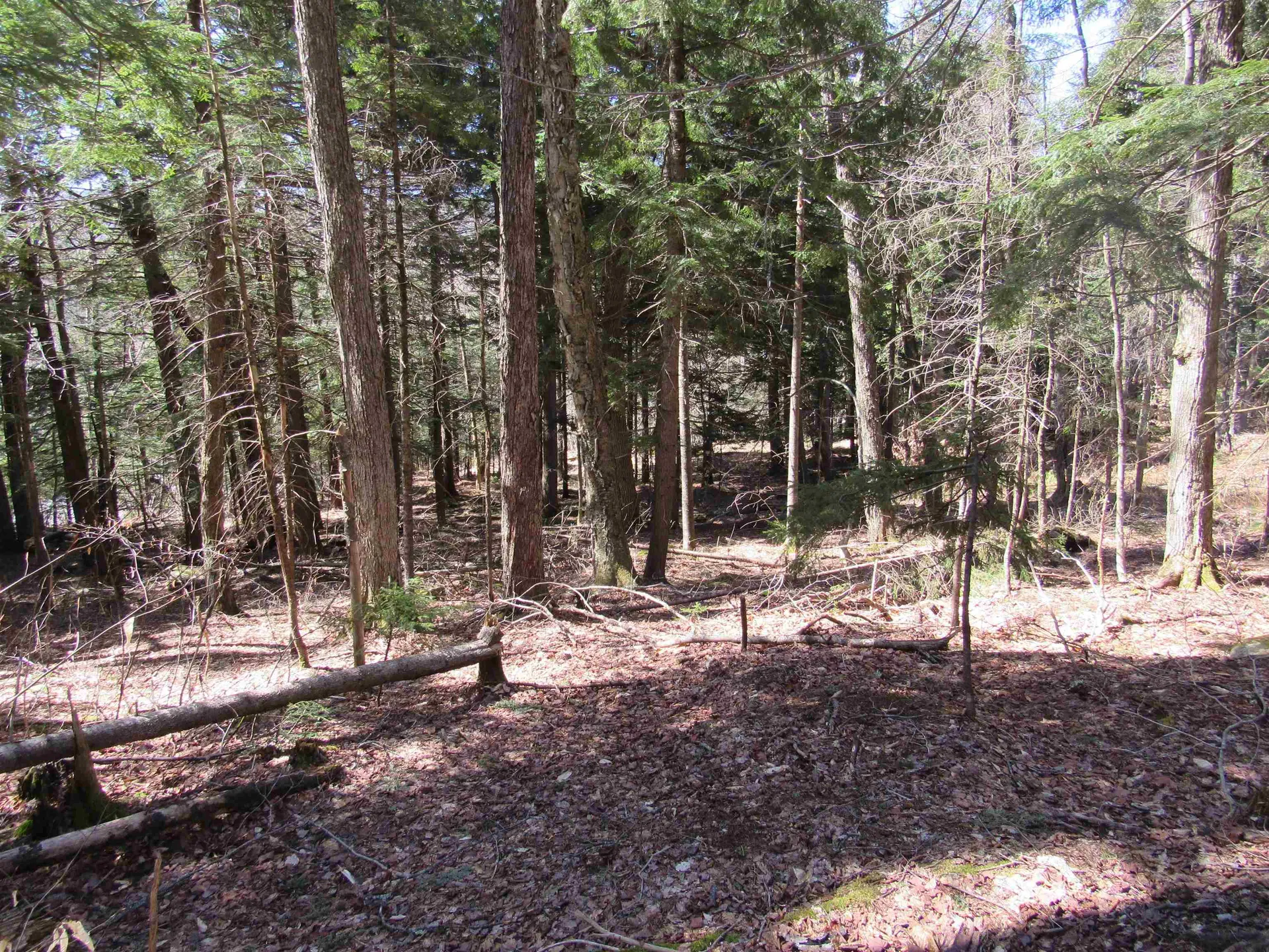 0 Stratton View Road Winhall VT 05340