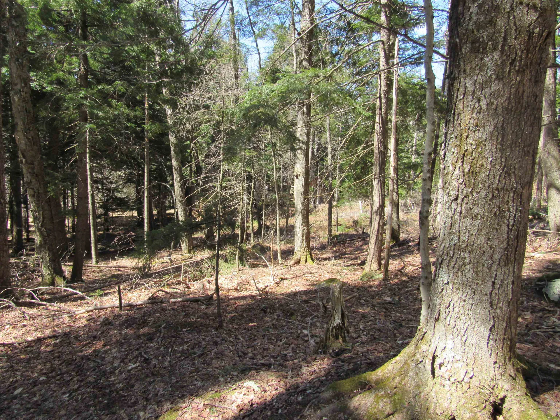 0 Stratton View Road Winhall VT 05340