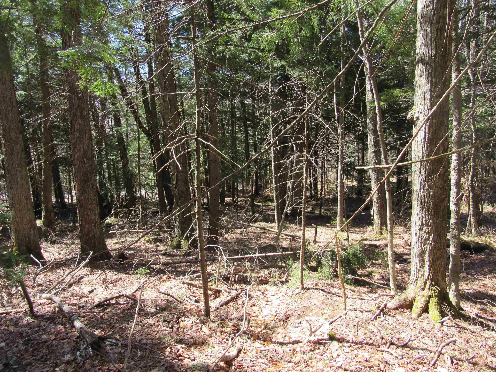 0 Stratton View Road Winhall VT 05340