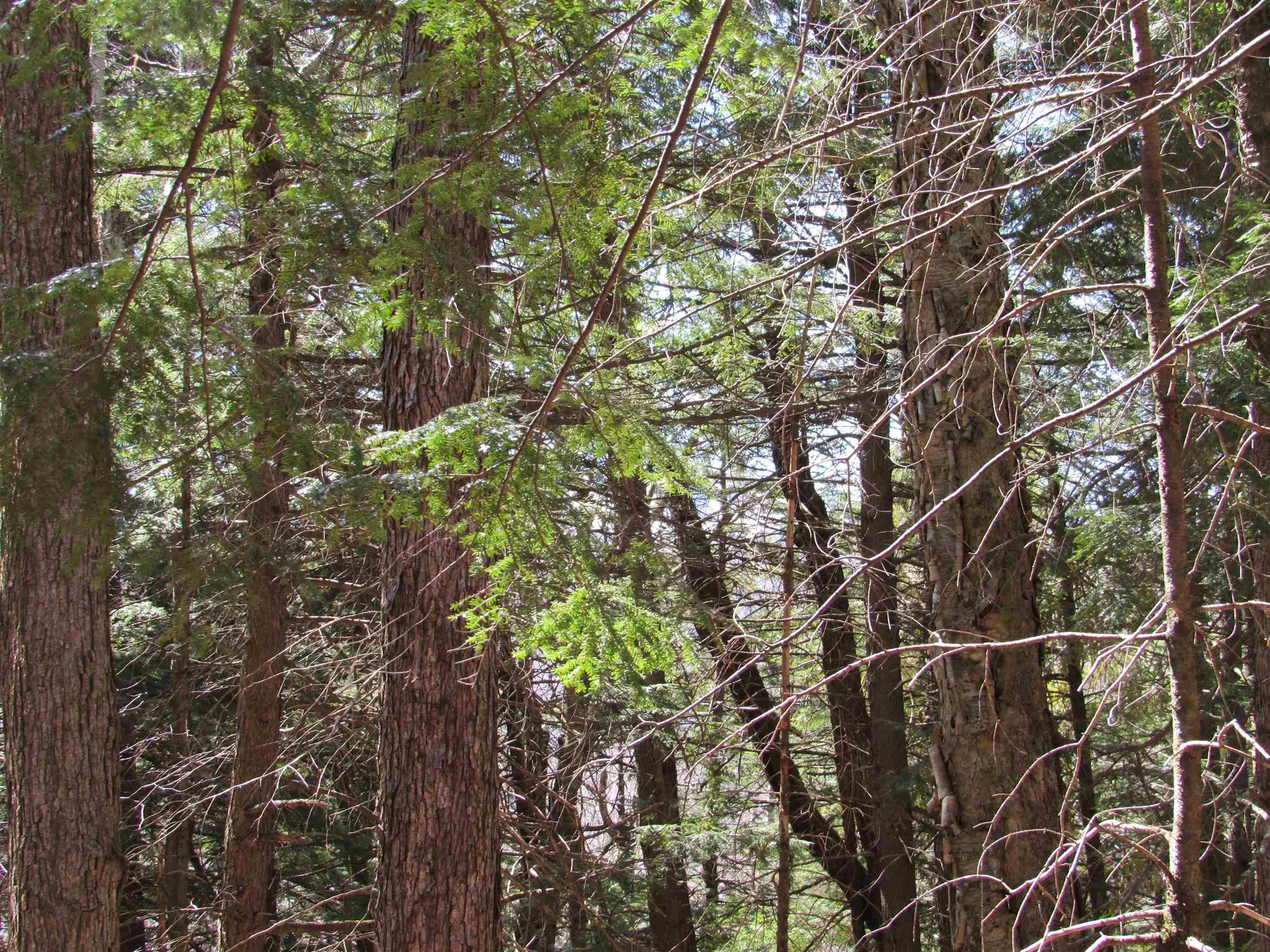 0 Stratton View Road Winhall VT 05340