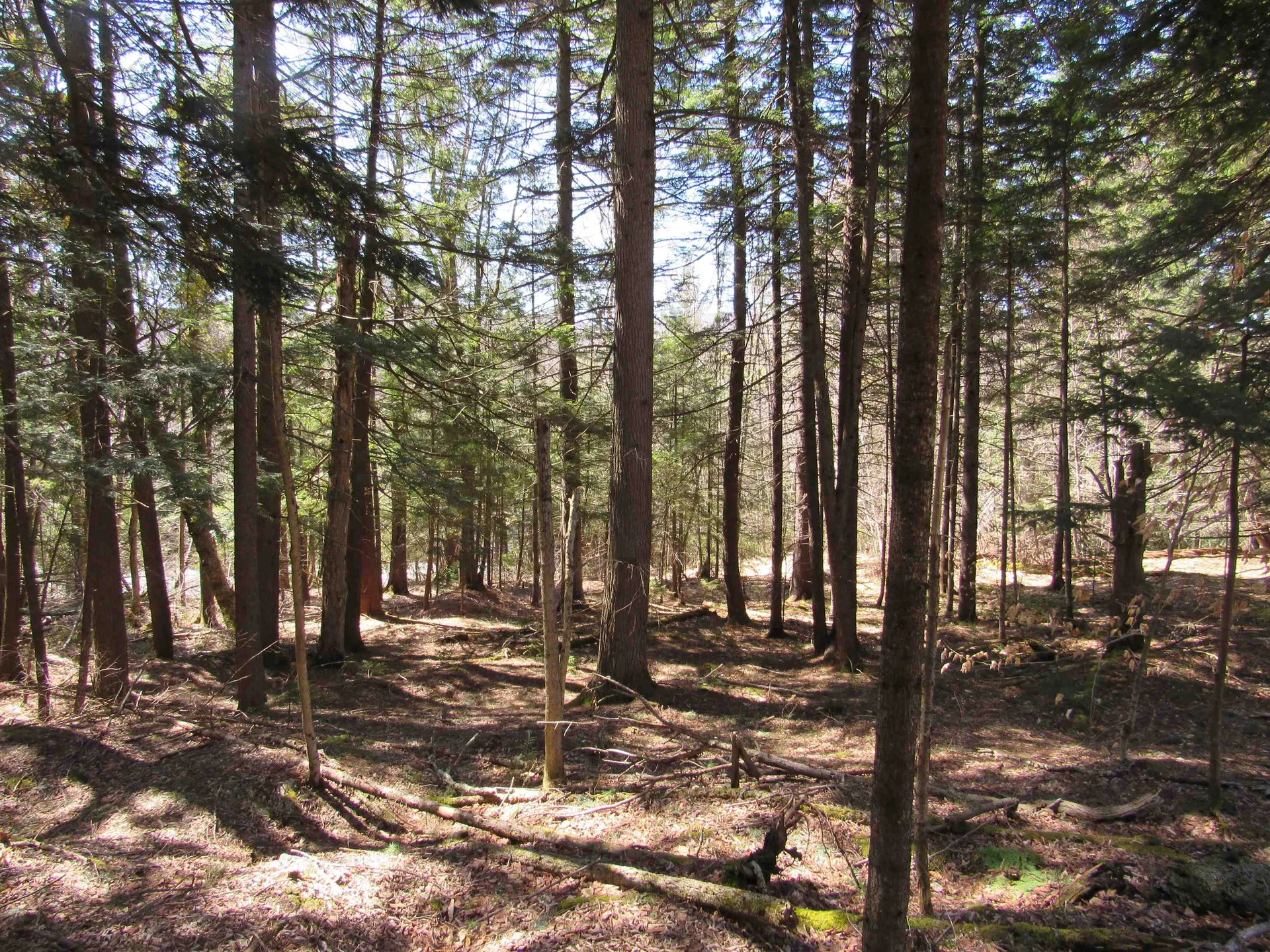 0 Stratton View Road Winhall VT 05340