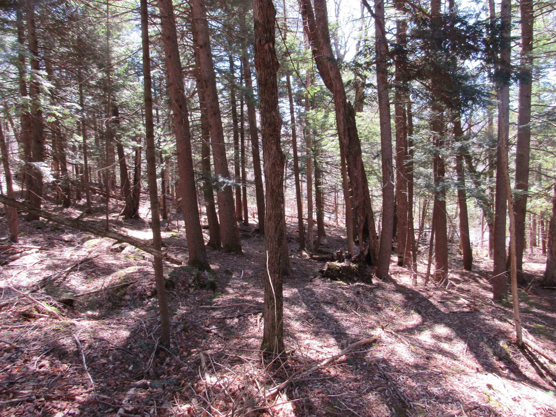 0 Stratton View Road Winhall VT 05340