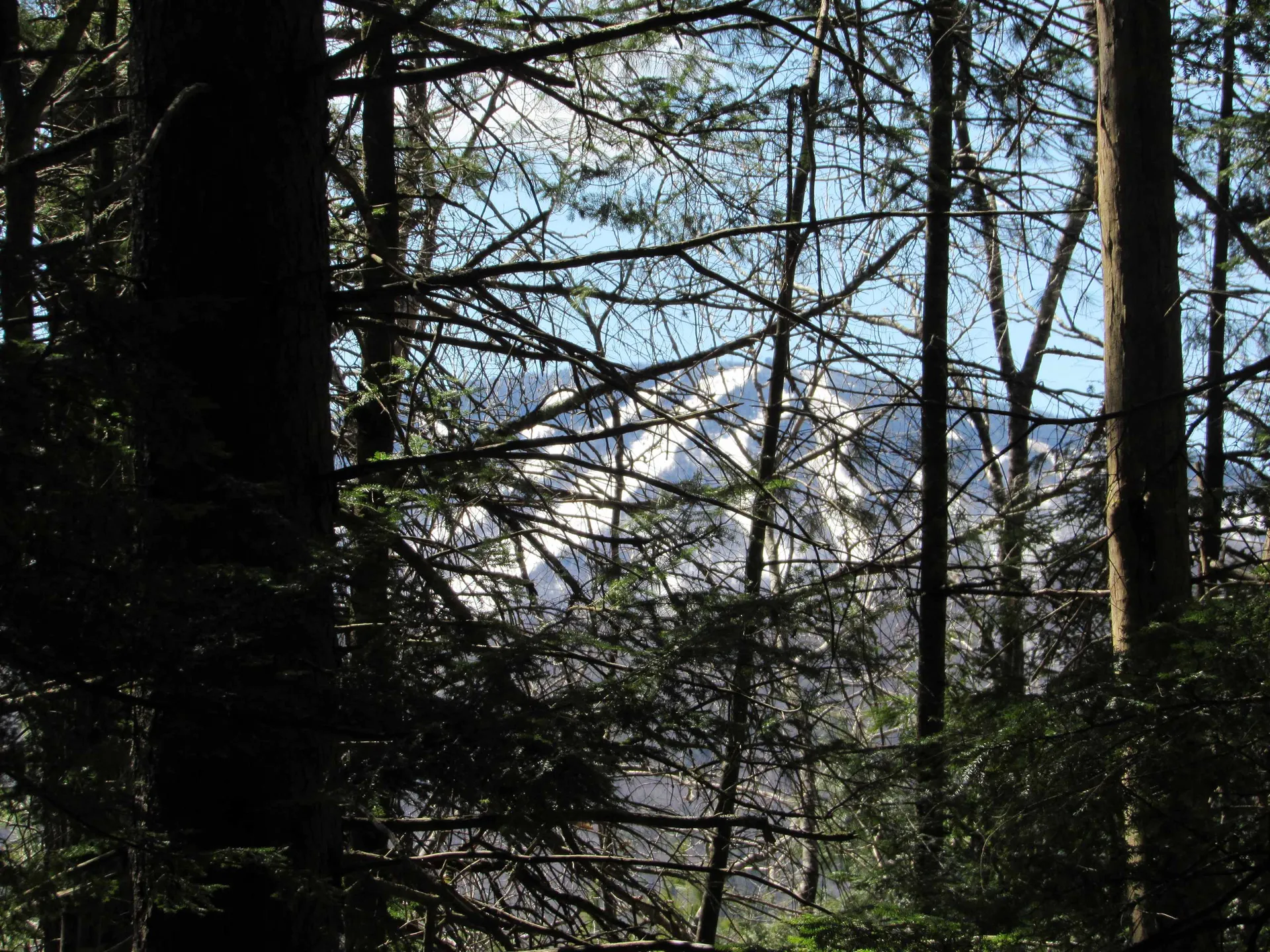 0 Stratton View Road Winhall VT 05340