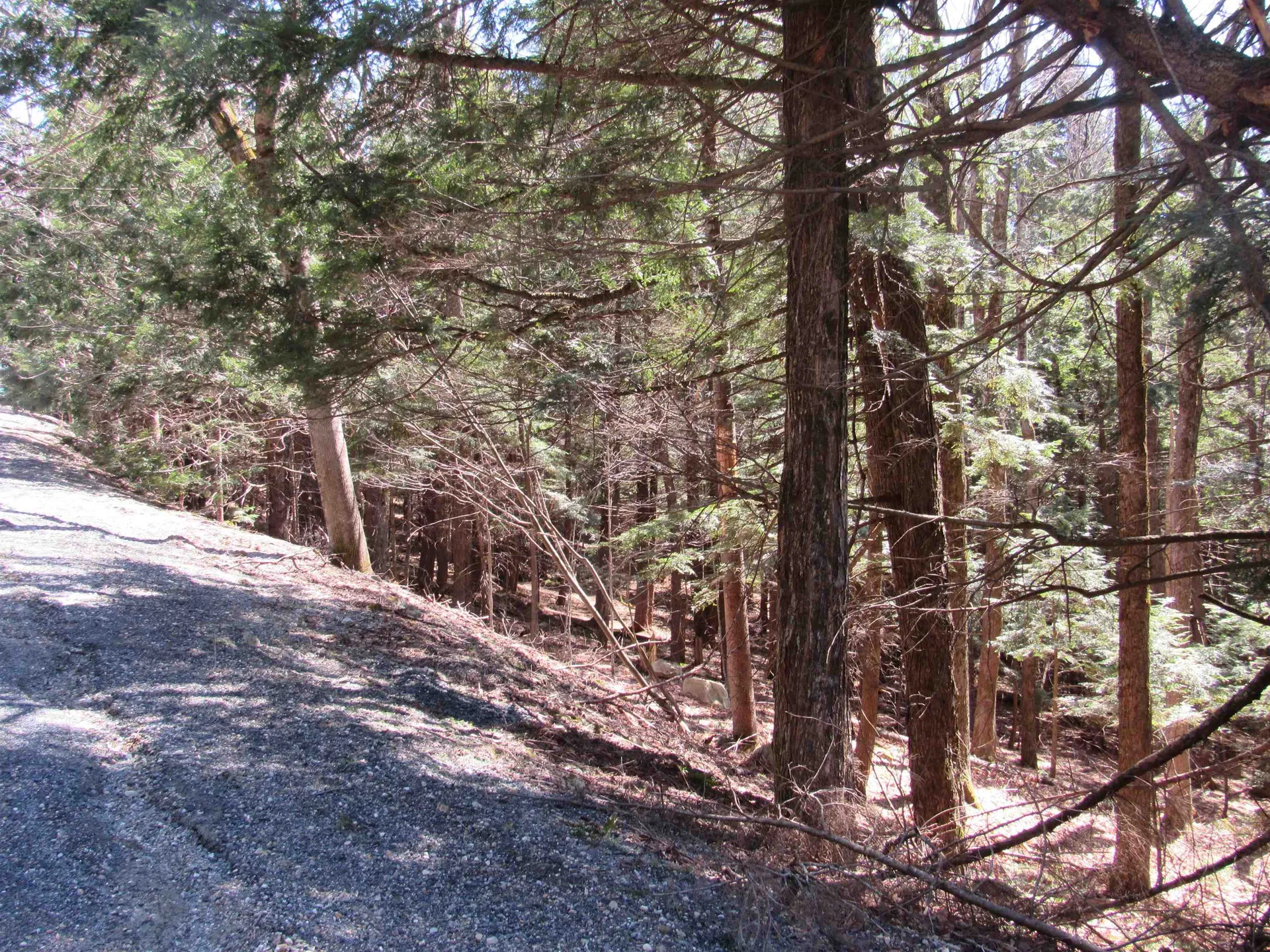 0 Stratton View Road Winhall VT 05340