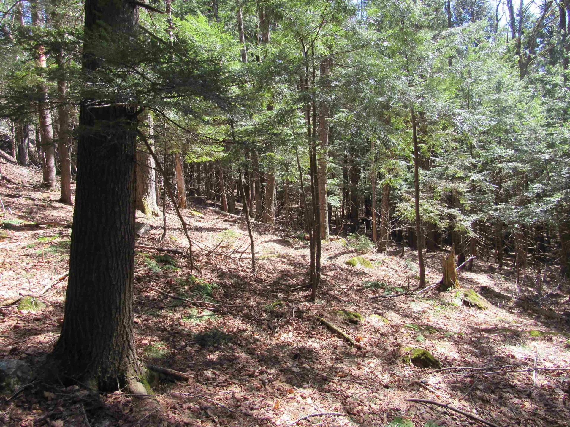 0 Stratton View Road Winhall VT 05340