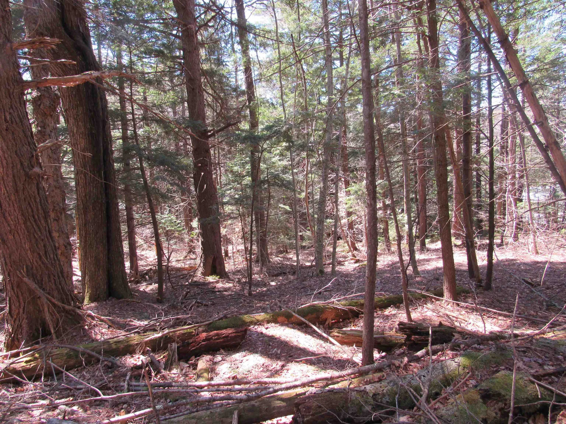 0 Stratton View Road Winhall VT 05340