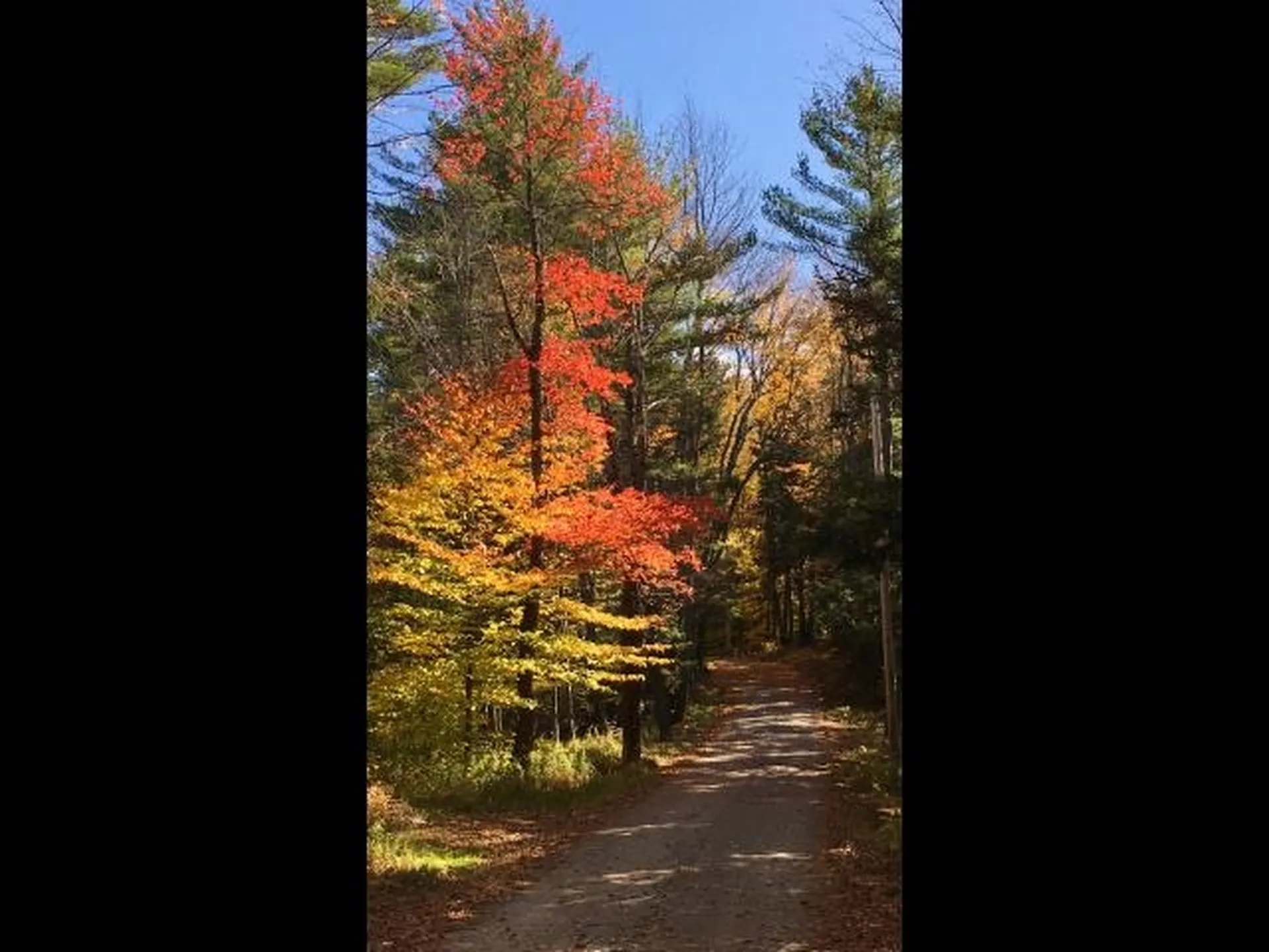 22 Lakeview Terrace Nelson NH 03445