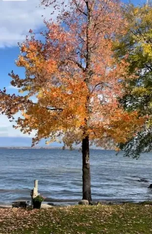 419 North End Road East North Hero VT 05474