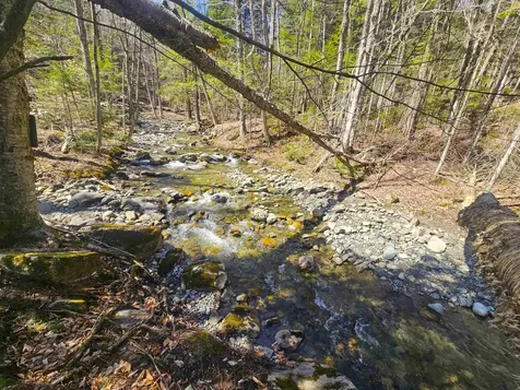 352 Currier Hill Drive Irasburg VT 05845