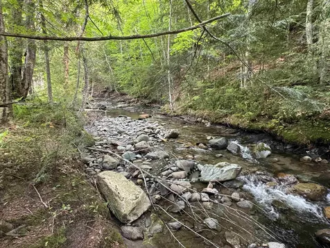 352 Currier Hill Drive Irasburg VT 05845