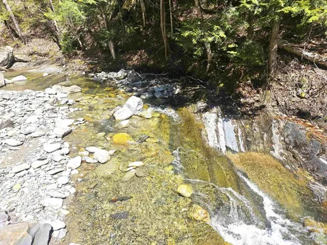 352 Currier Hill Drive Irasburg VT 05845