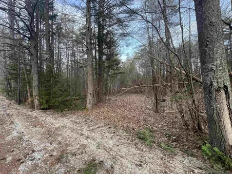 0 Spa Road Danbury NH 03230