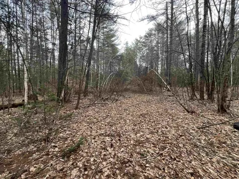 0 Spa Road Danbury NH 03230