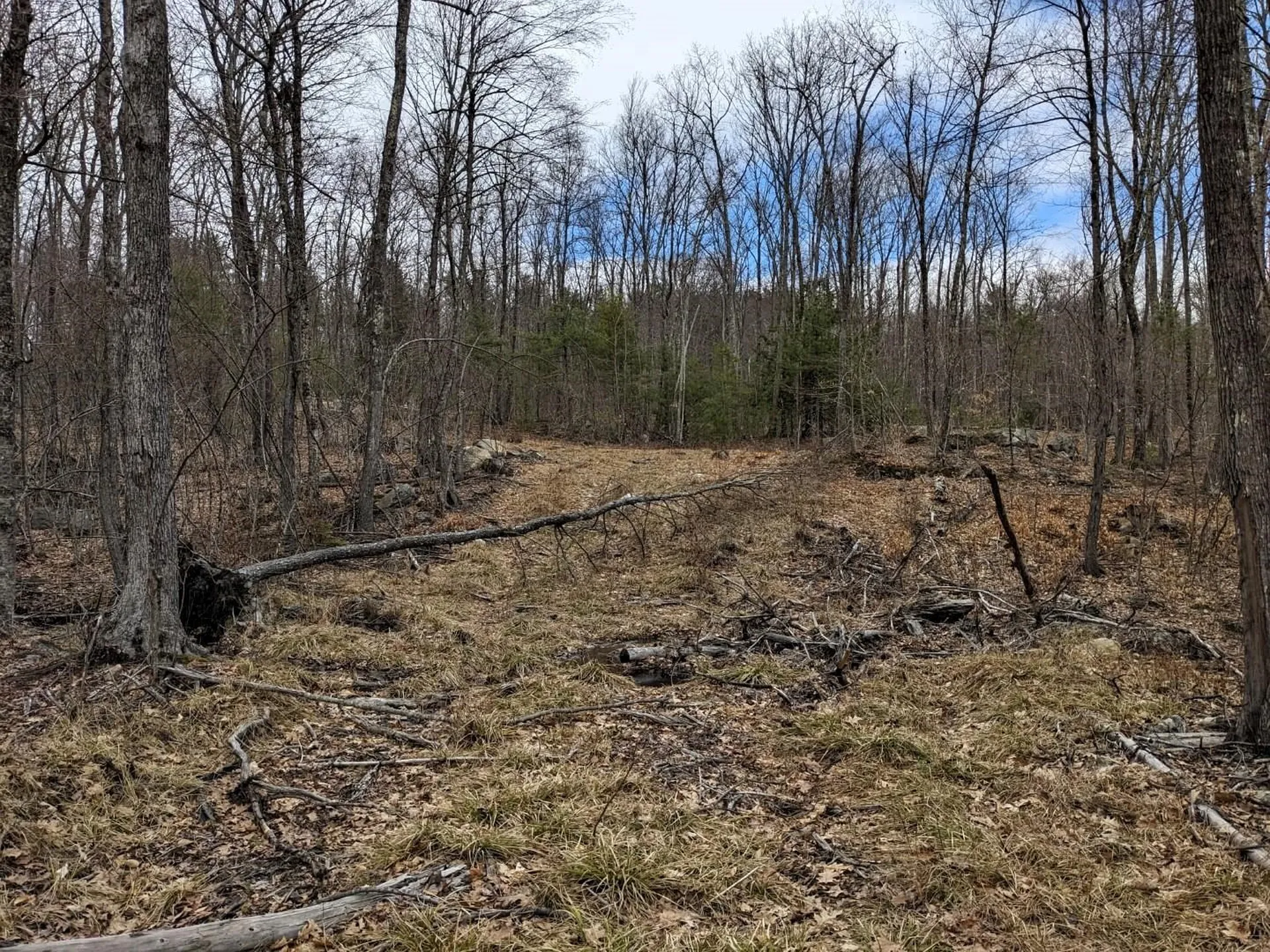 00 Brook Road Mont Vernon NH 03057