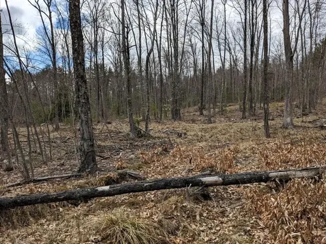 00 Brook Road Mont Vernon NH 03057