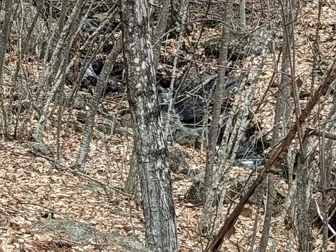 00 Brook Road Mont Vernon NH 03057