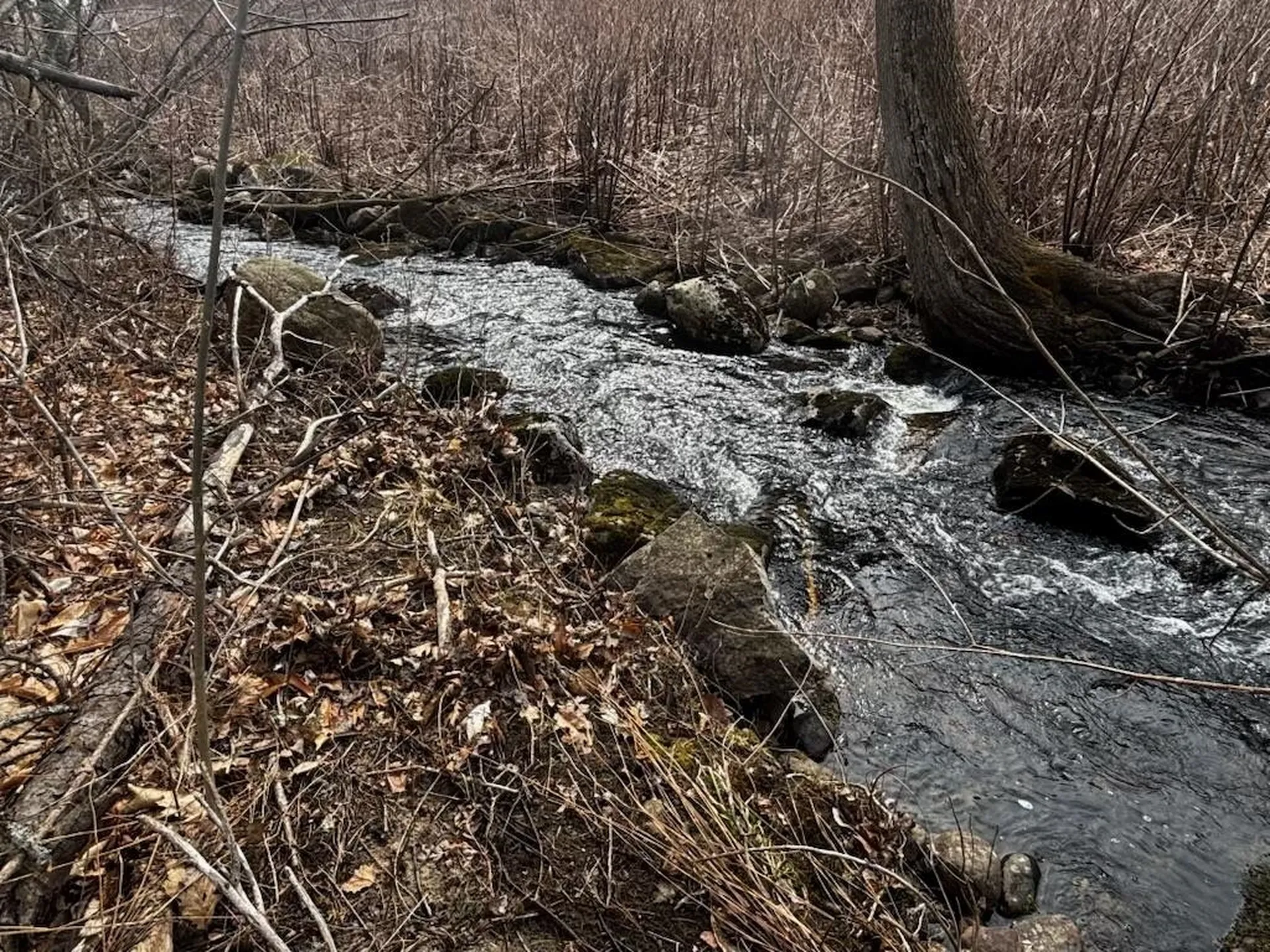 0 Washington Extension Keene NH 03431