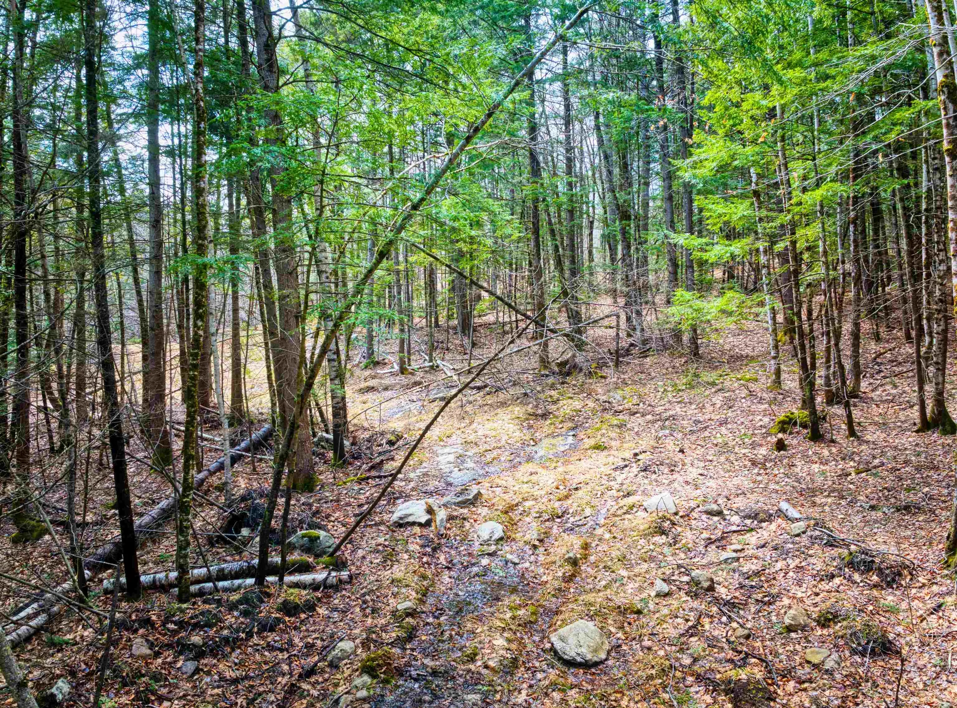 Hominy Pot Road Sutton NH 03221