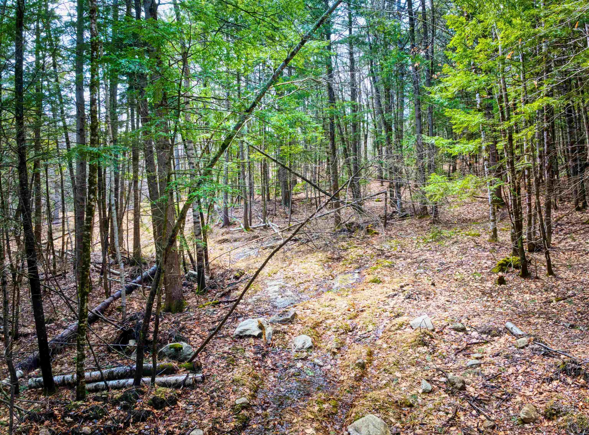 Hominy Pot Road Sutton NH 03221