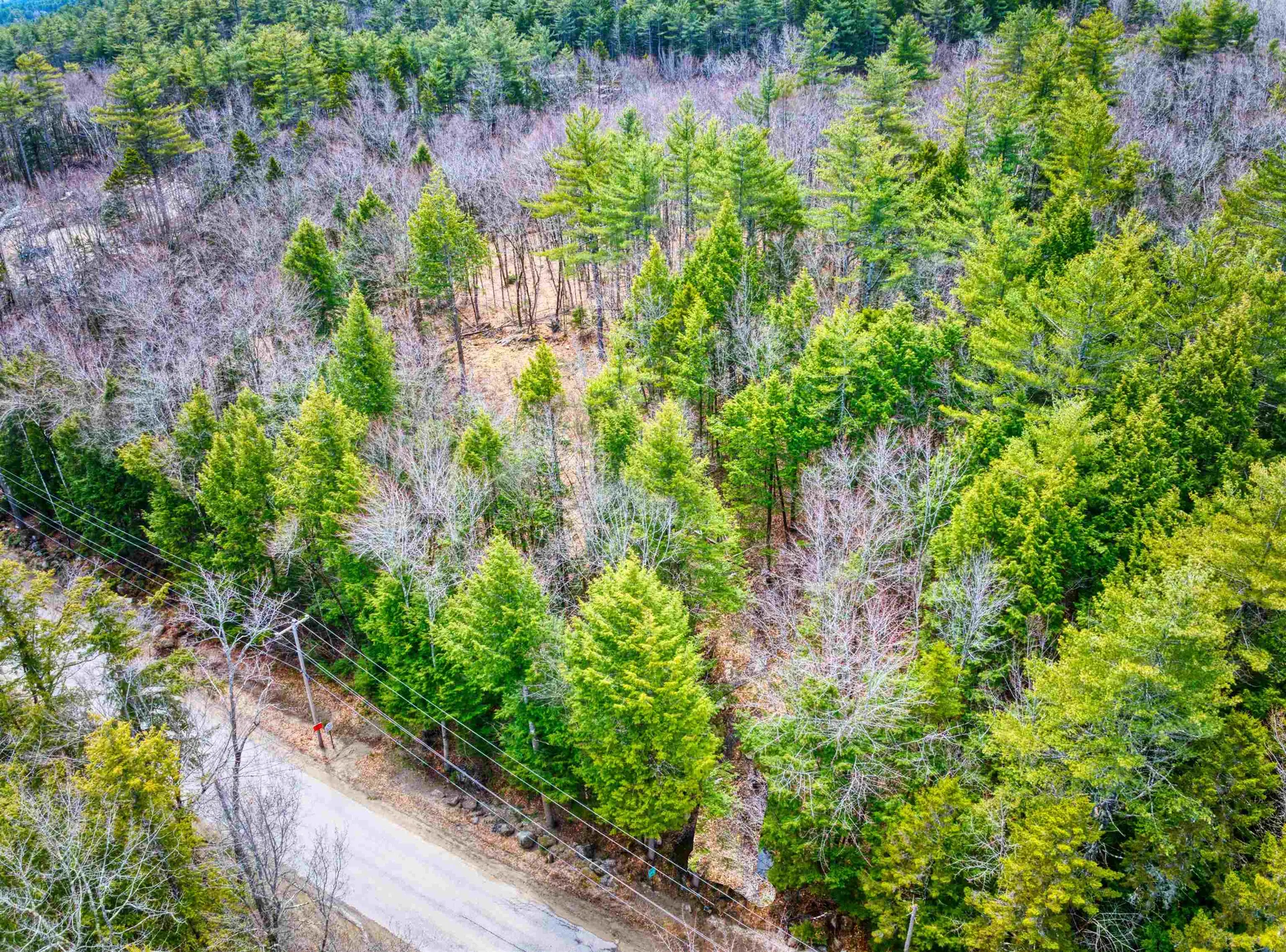 Hominy Pot Road Sutton NH 03221