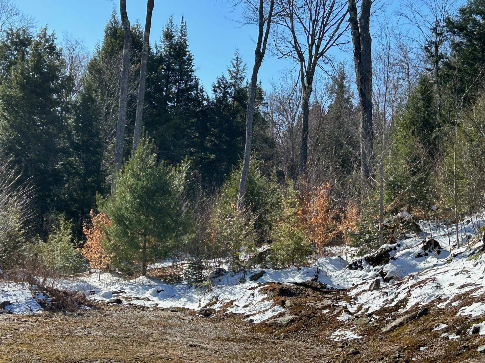 240 Green Park West Road Hyde Park VT 05655