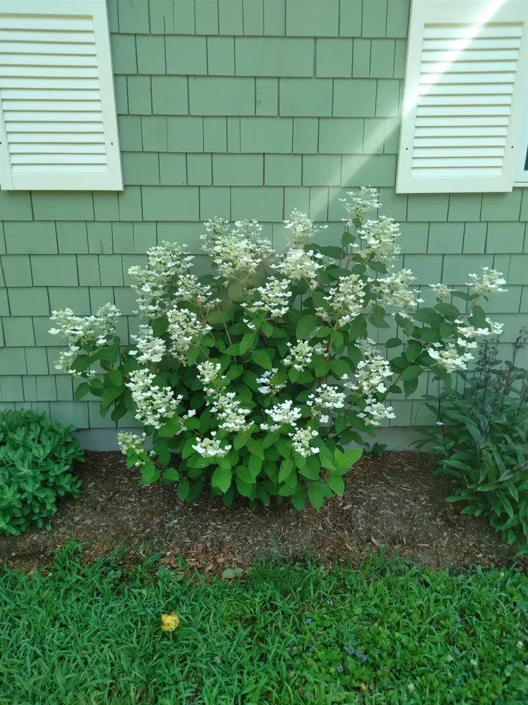 2899 George Hill Road Springfield NH 03284