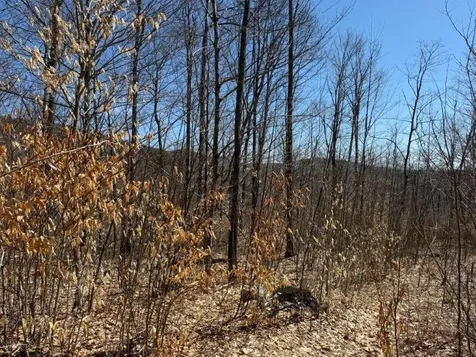 Tuttle Hill Road Orange NH 03741