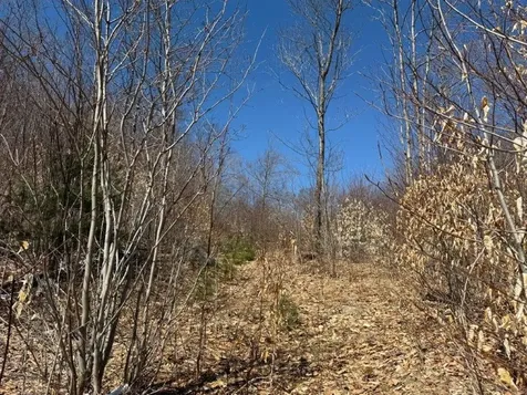 Tuttle Hill Road Orange NH 03741