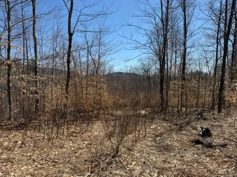 Tuttle Hill Road Orange NH 03741