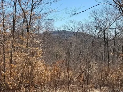 Tuttle Hill Road Orange NH 03741
