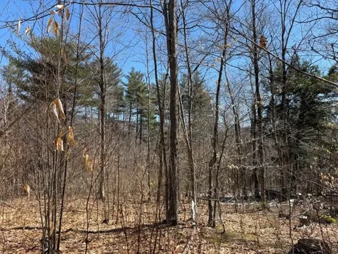 Tuttle Hill Road Orange NH 03741