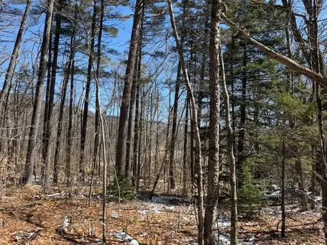 Tuttle Hill Road Orange NH 03741