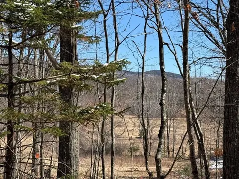Tuttle Hill Road Orange NH 03741