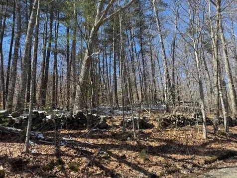 Tuttle Hill Road Orange NH 03741