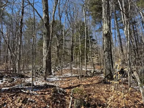 Tuttle Hill Road Orange NH 03741