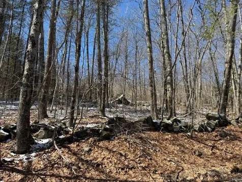 Tuttle Hill Road Orange NH 03741
